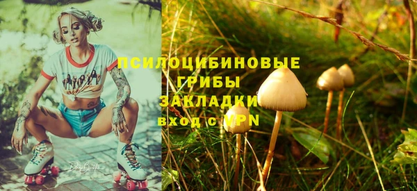 apvp Абинск
