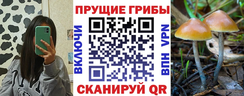 Галлюциногенные грибы MAGIC MUSHROOMS  маркетплейс клад  Чегем 